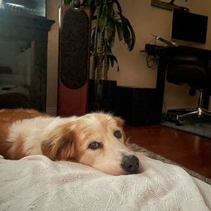 Meet your Posher, Adriana